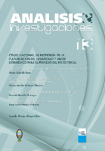 Análisis e Investigaciones Nro.13